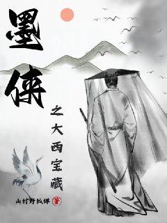 墨侠之大西宝藏在线观看免费完整版